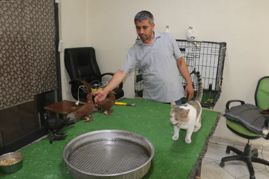 KUŞLARA ÇOBAN KÖPEĞİ GİBİ SAHİP ÇIKIYOR 1 KUŞLARA ÇOBAN KÖPEĞİ GİBİ SAHİP ÇIKIYOR 1