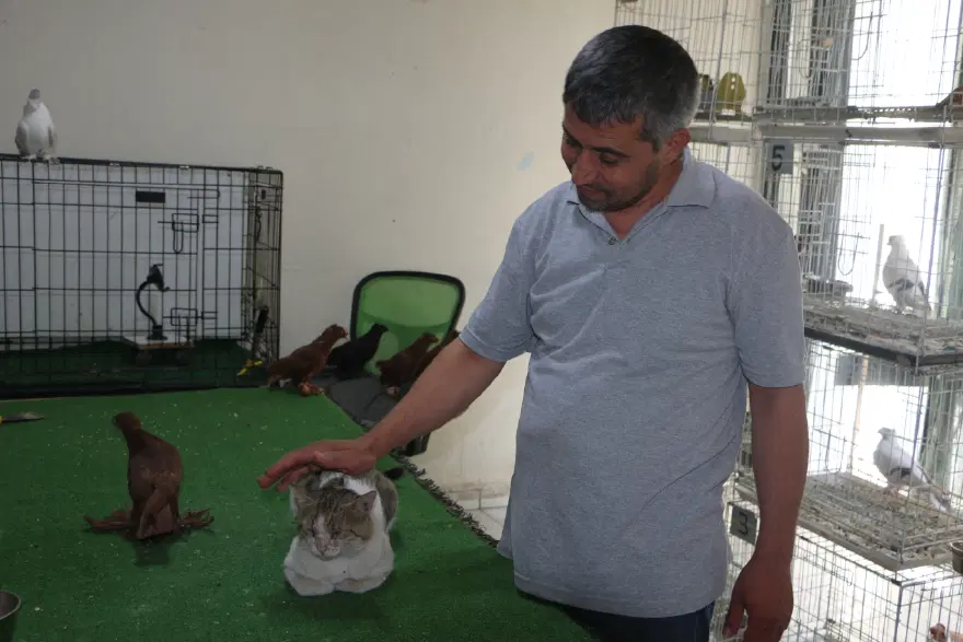 ET YEDİRENE SIFIR OTOMOBİL 3 ET YEDİRENE SIFIR OTOMOBİL 3