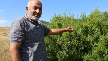 Emekli oldu, çocukluk tutkusuna döndü. Bin 600 rakımda nöbette