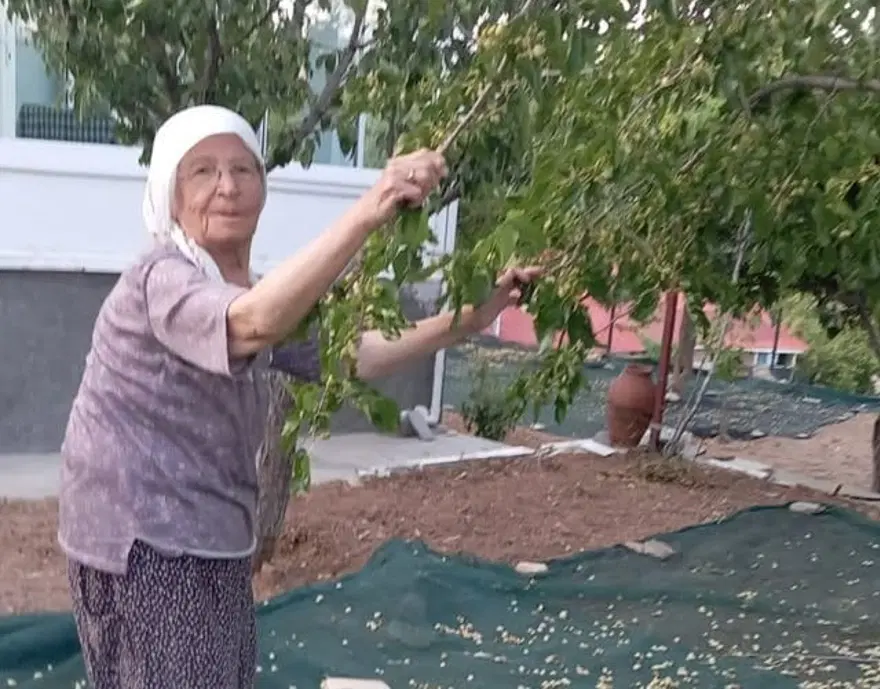Sıcağa rağmen tek tek topladılar. 85 yaşındaki çift, kazan kazan kaynatarak üretiyor 3 Sıcağa rağmen tek tek topladılar. 85 yaşındaki çift, kazan kazan kaynatarak üretiyor 3