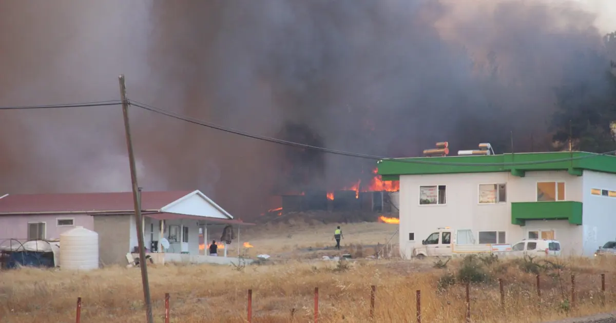 Çanakkale'de ormanlık alanda yangın çıktı. Köylere çok yakın bir bölge