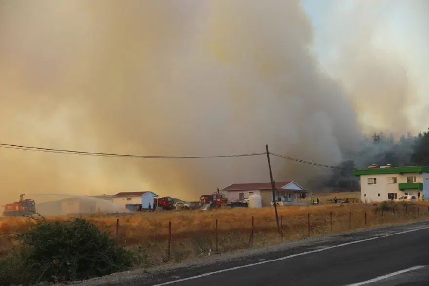 Çanakkale'deki orman yangını kontrol altında 4