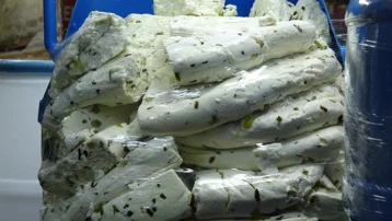 Talep arttı, vakumlayarak diğer illere gönderiyorlar. Kilosu 650 liraya kadar çıkıyor