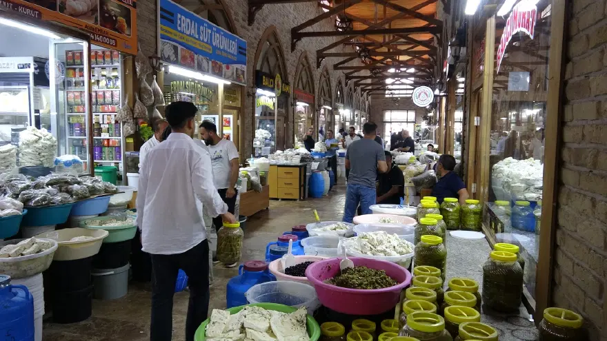 Talep arttı, vakumlayarak diğer illere gönderiyorlar. Kilosu 650 liraya kadar çıkıyor 1