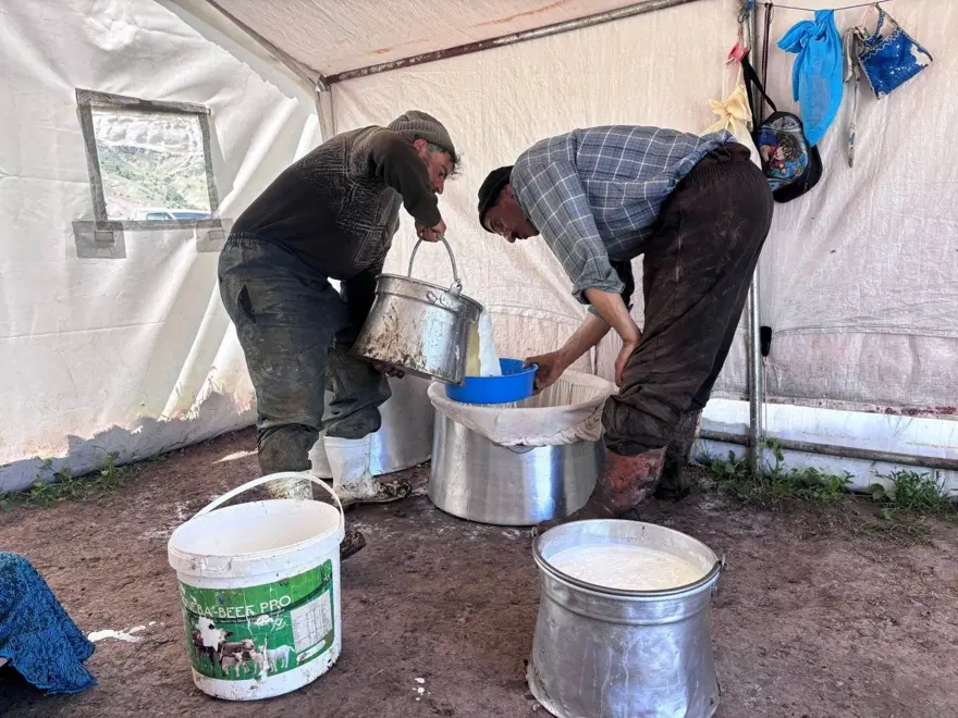 ARTAN YEM VE İLAÇ GİDERLERİ ÜRETİCİYİ ZORLUYOR 1