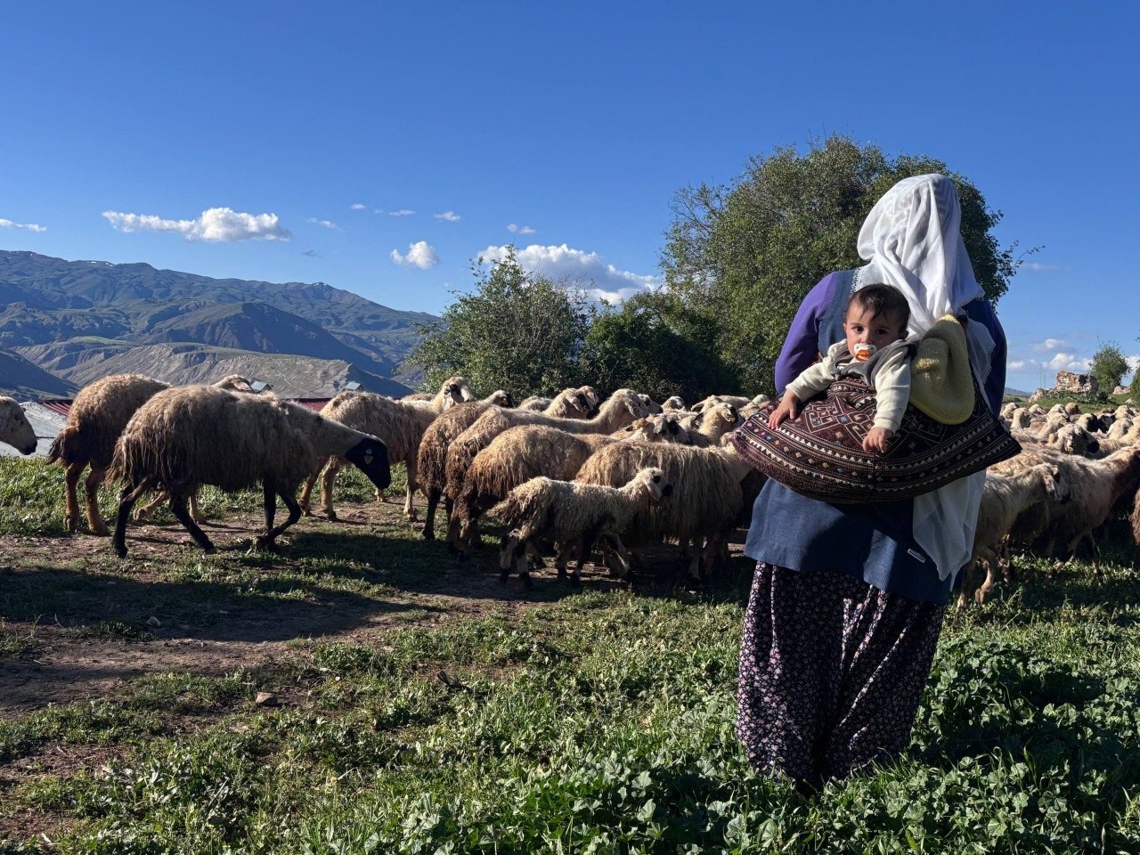 Üretim günün ilk ışıklarıyla başlıyor, geleneksel yöntemlerle işlenerek sofraya ulaşıyor