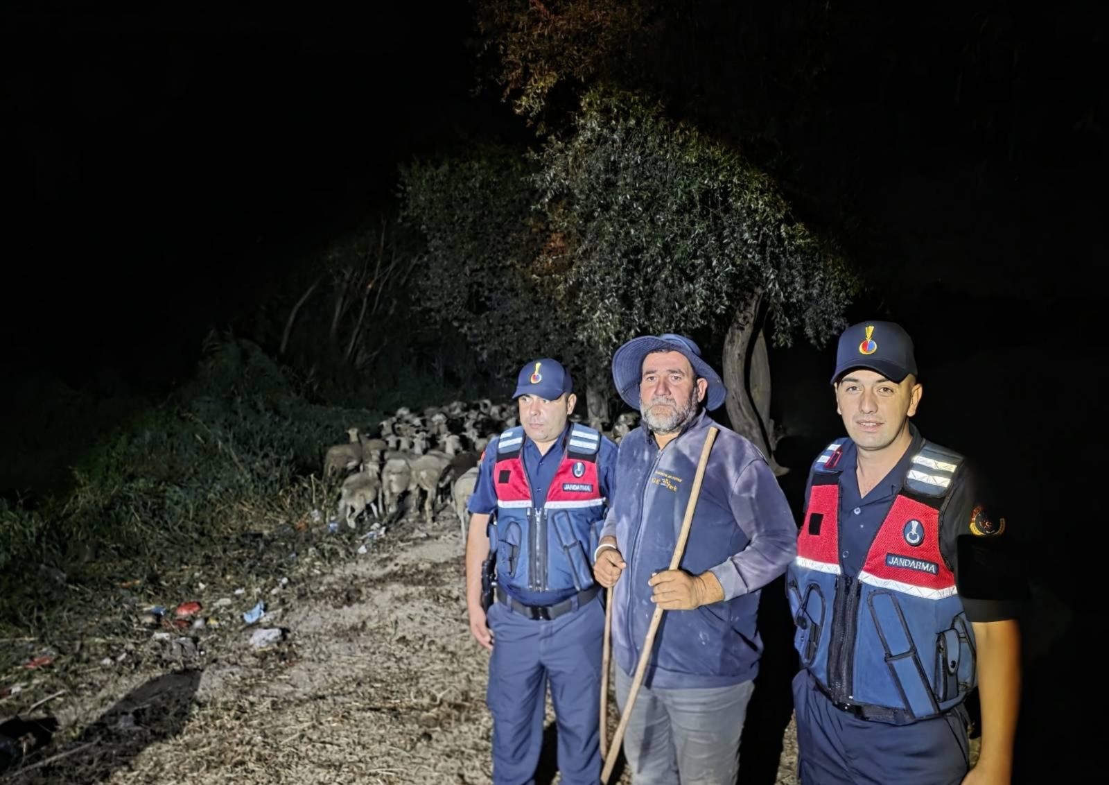 Bilecik'te kaybolmuşlardı. Çoban ve 100 koyunu Sakarya'da bulundu