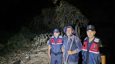 Bilecik'te kaybolmuşlardı. Çoban ve 100 koyunu Sakarya'da bulundu