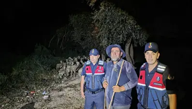 Bilecik'te kaybolmuşlardı. Çoban ve 100 koyunu Sakarya'da bulundu