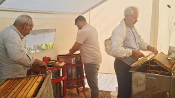2 bin 500 rakımlı yaylalardan sofraya. Kovanlar açıldı, sağım başladı