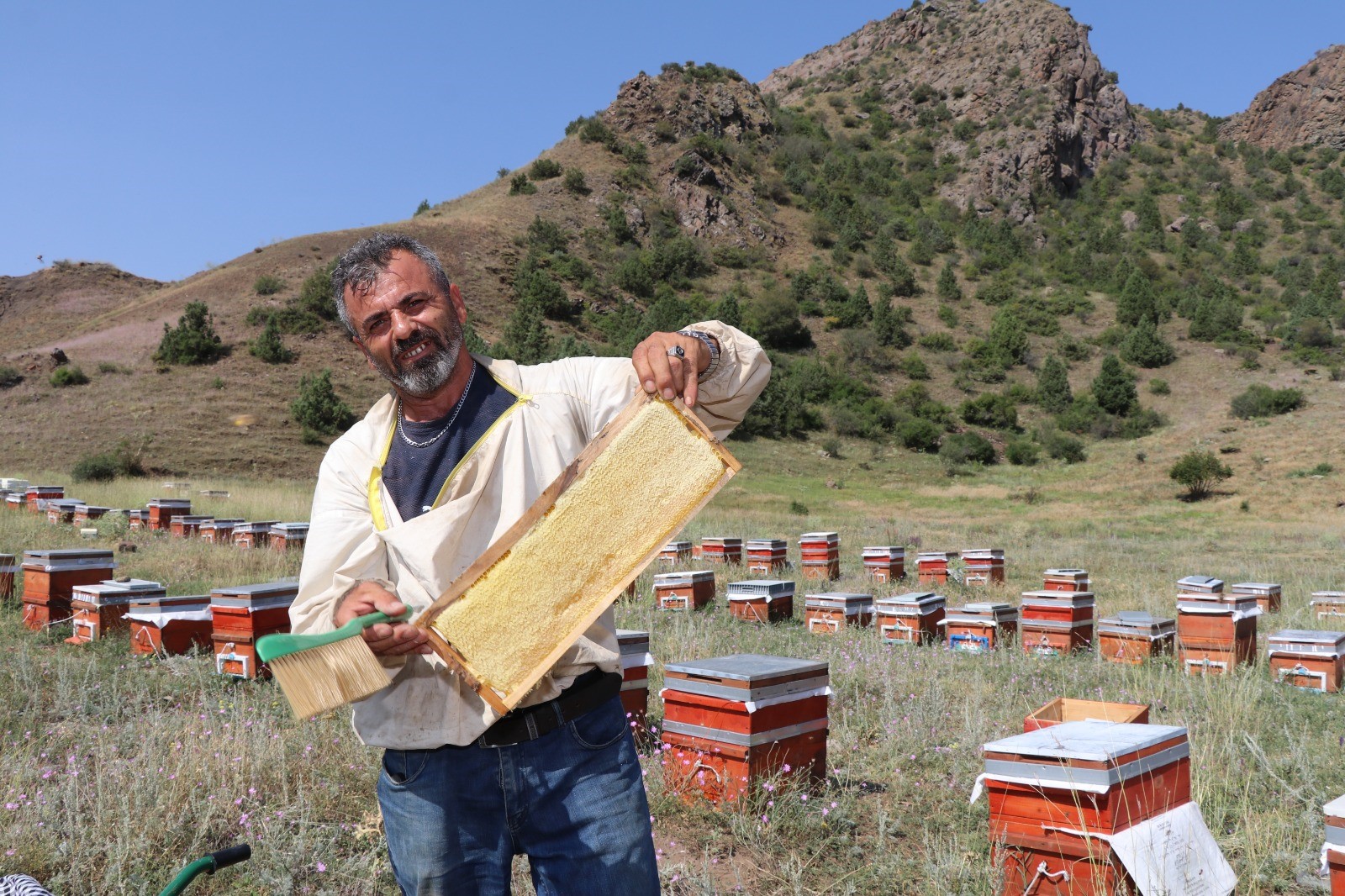 İlk hasat yapıldı. Hedef 3 ton