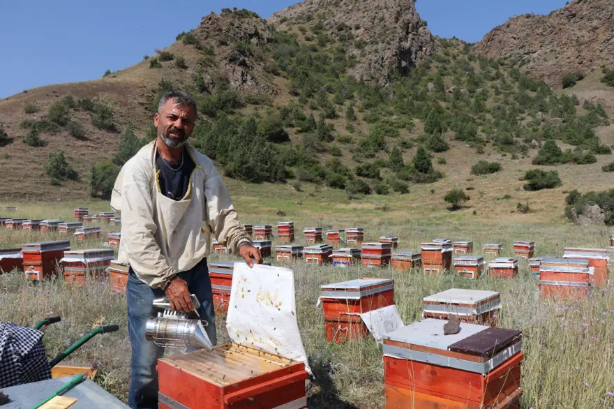 İlk hasat yapıldı. Hedef 3 ton 3