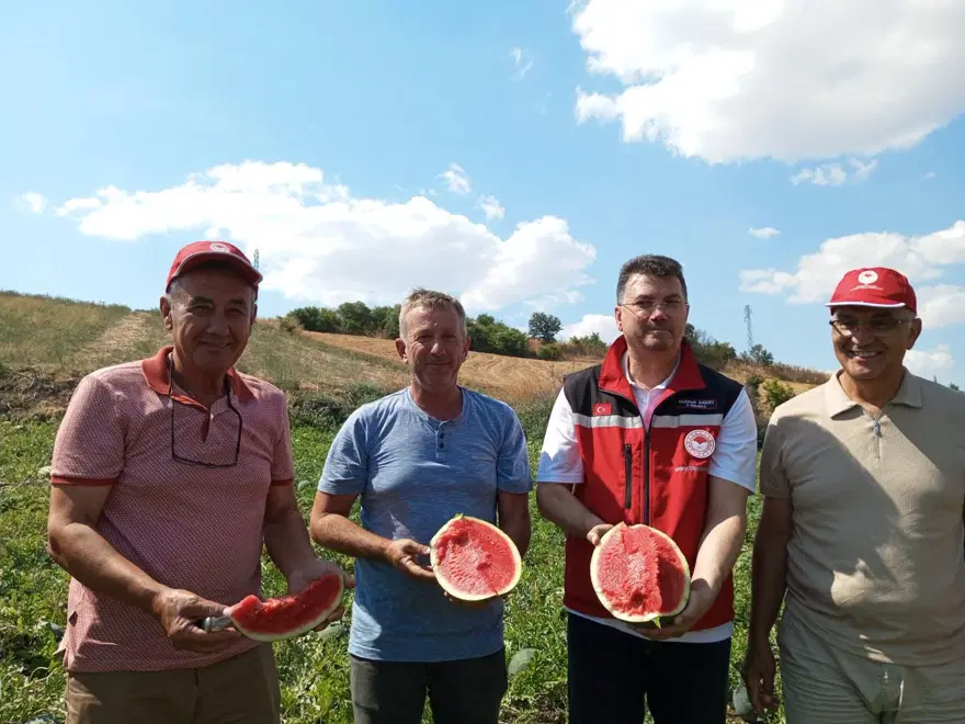 Hasat başlar başlamaz tezgaha indi. Verimli topraklarda yetişiyor 3
