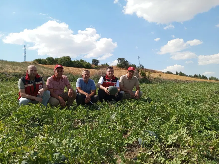 Hasat başlar başlamaz tezgaha indi. Verimli topraklarda yetişiyor 1