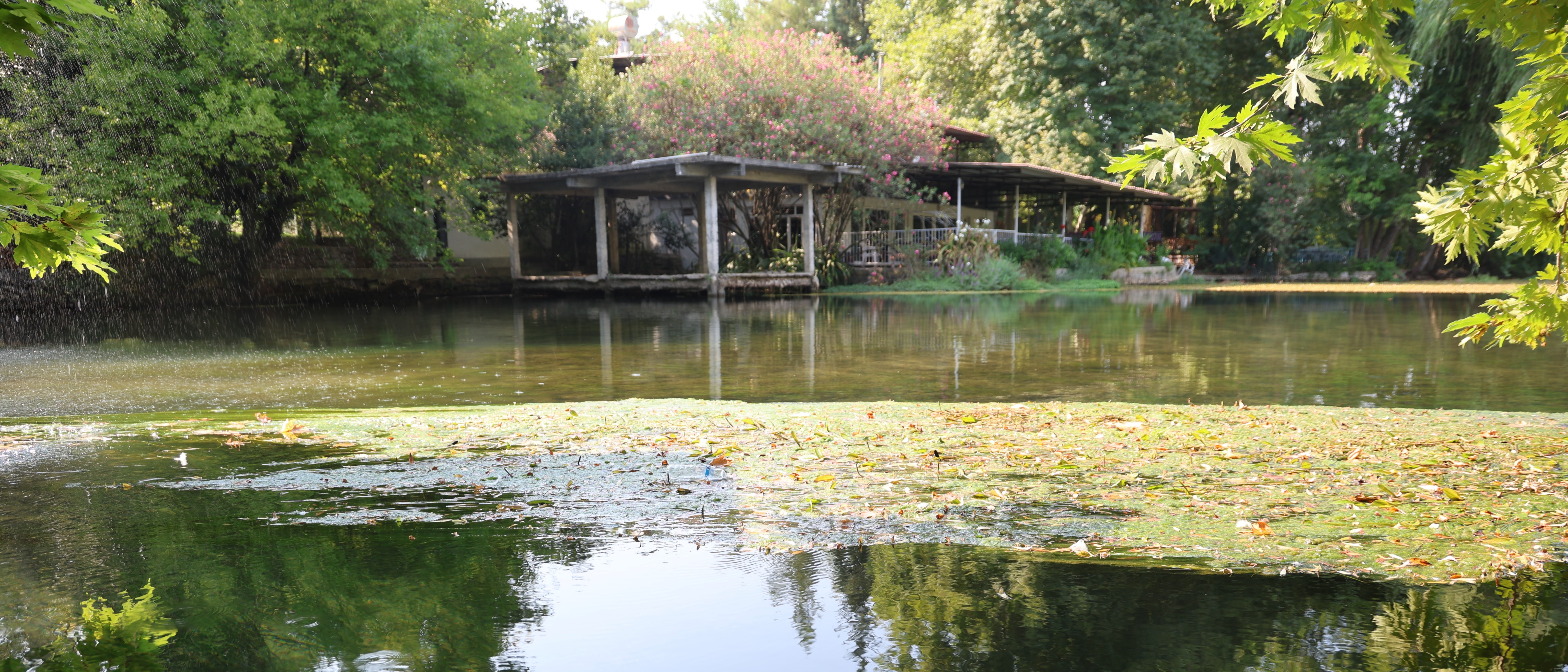 Adana'nın gizli cenneti Akyaka'yı aratmıyor. Doğal yaşamın tüm renkleri bir arada