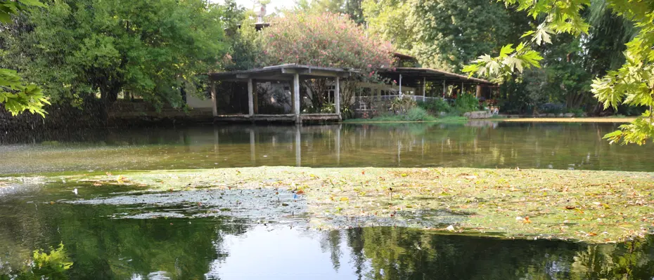 Adana'nın gizli cenneti Akyaka'yı aratmıyor. Doğal yaşamın tüm renkleri bir arada