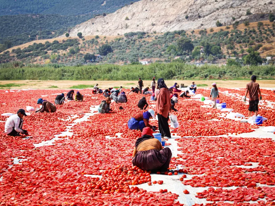 İZMİR'DEKİ ÜRETİMİN YÜZDE 40'I TORBALI'DAN 4