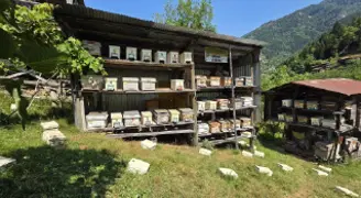 UNESCO korumasındaki vadide hasat