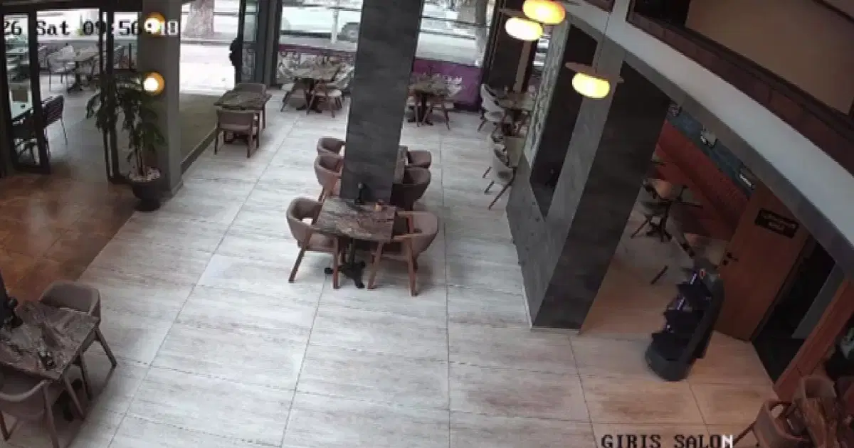 Garson robot kendini merdivenlerden attı. Çalışma stresi yaşayan robota 3 gün izin verildi