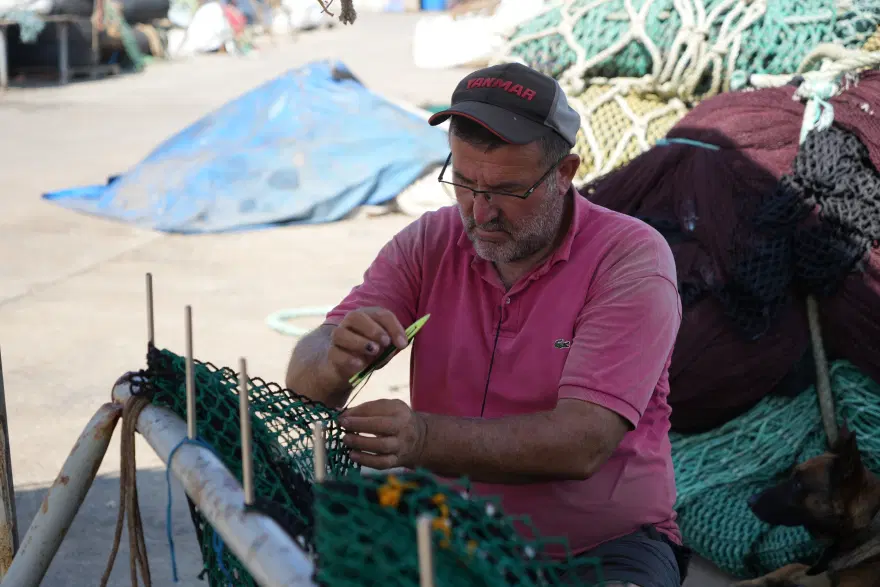 "BU SENE HALK PALAMUT YİYECEK" 2 "BU SENE HALK PALAMUT YİYECEK" 2