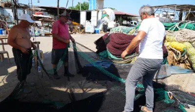 Yeni sezon 1 Eylül'de başlıyor. "4 aydır hazırlanıyoruz, işaretler iyi"Samsun’da yeni sezon hazırlıklarını sürdüren balıkçılar, 1 Eylül’de sona erecek av yasağının ardından denize açılmayı bekliyor.