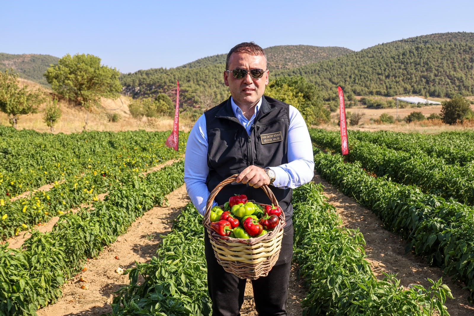 50 üretici 100 dekarlık alanda yetiştirdi. Hasat başladı
