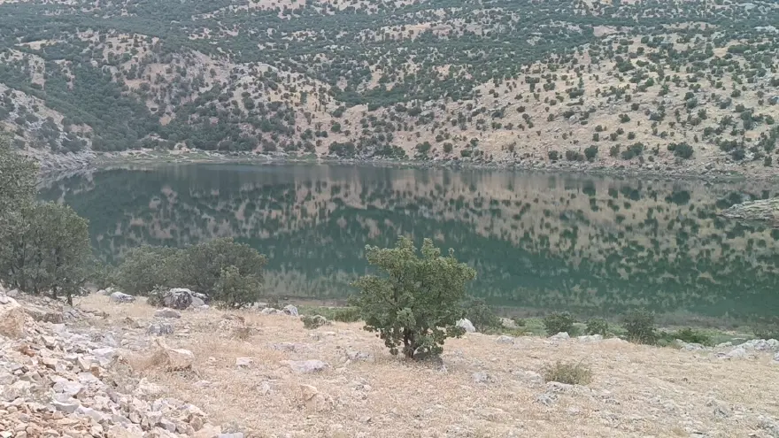 Eklem ağrıları, varis gibi hastalıklara iyi geliyor. Kilometrelerce yol gidip şifa arıyorlar 1