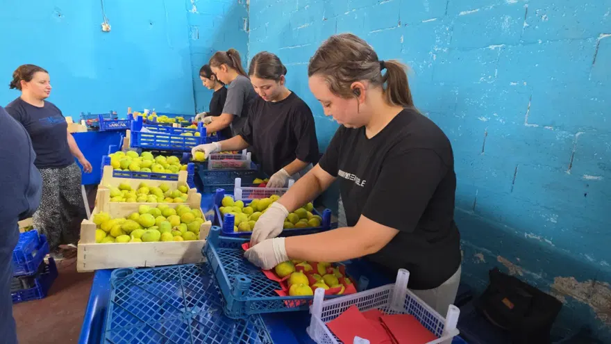 Hasatla birlikte sofraya yolculuk başladı. En önemli geçim kapısı Hasatla birlikte sofraya yolculuk başladı. En önemli geçim kapısı