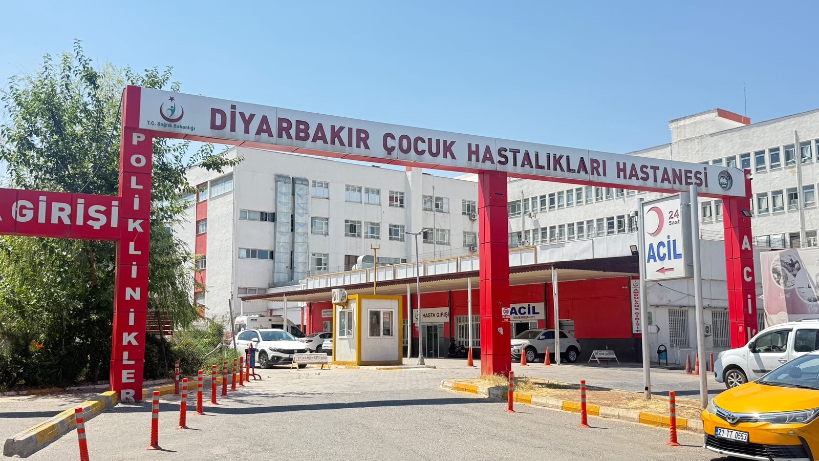 Sokak kedisi ısırdı, aylar sonra ortaya çıktı. Test sonucu herkesi şaşırttı