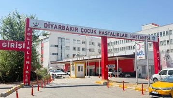 Sokak kedisi ısırdı, aylar sonra ortaya çıktı. Test sonucu herkesi şaşırttı