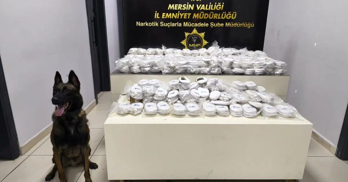 Mersin Limanı’nda 13 milyon liralık kokain operasyonu