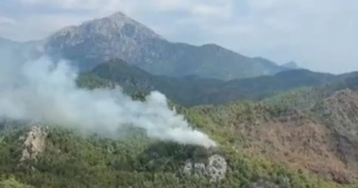 Antalya ve Balıkesir'de orman yangını