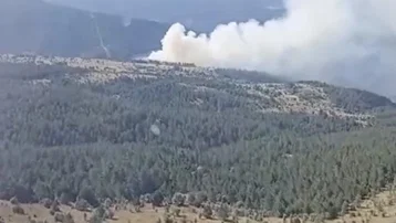 Kastamonu'da orman yangını büyümeden söndürüldü