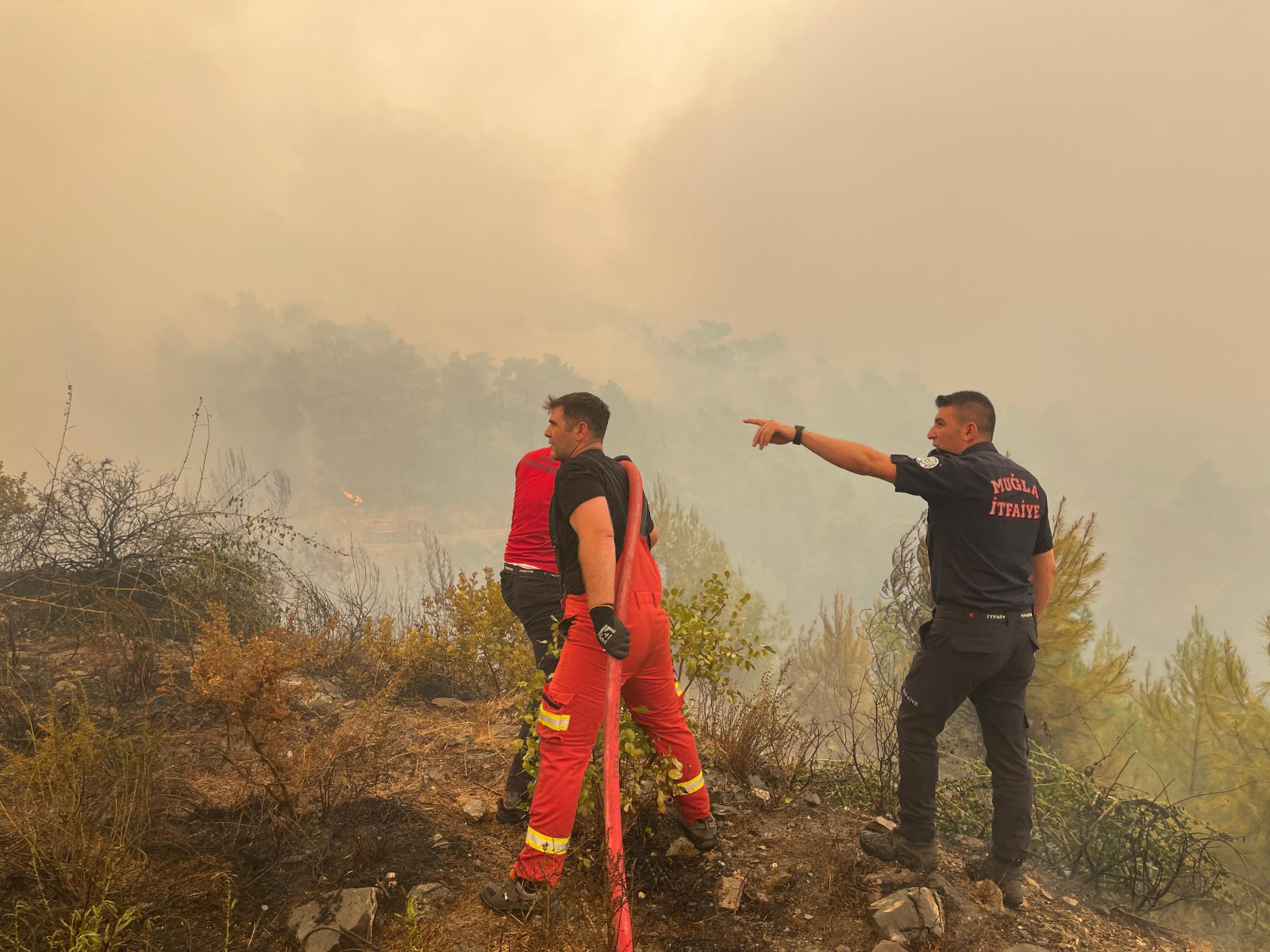 Muğla'daki yangınların yüzde 69'u insan kaynaklı