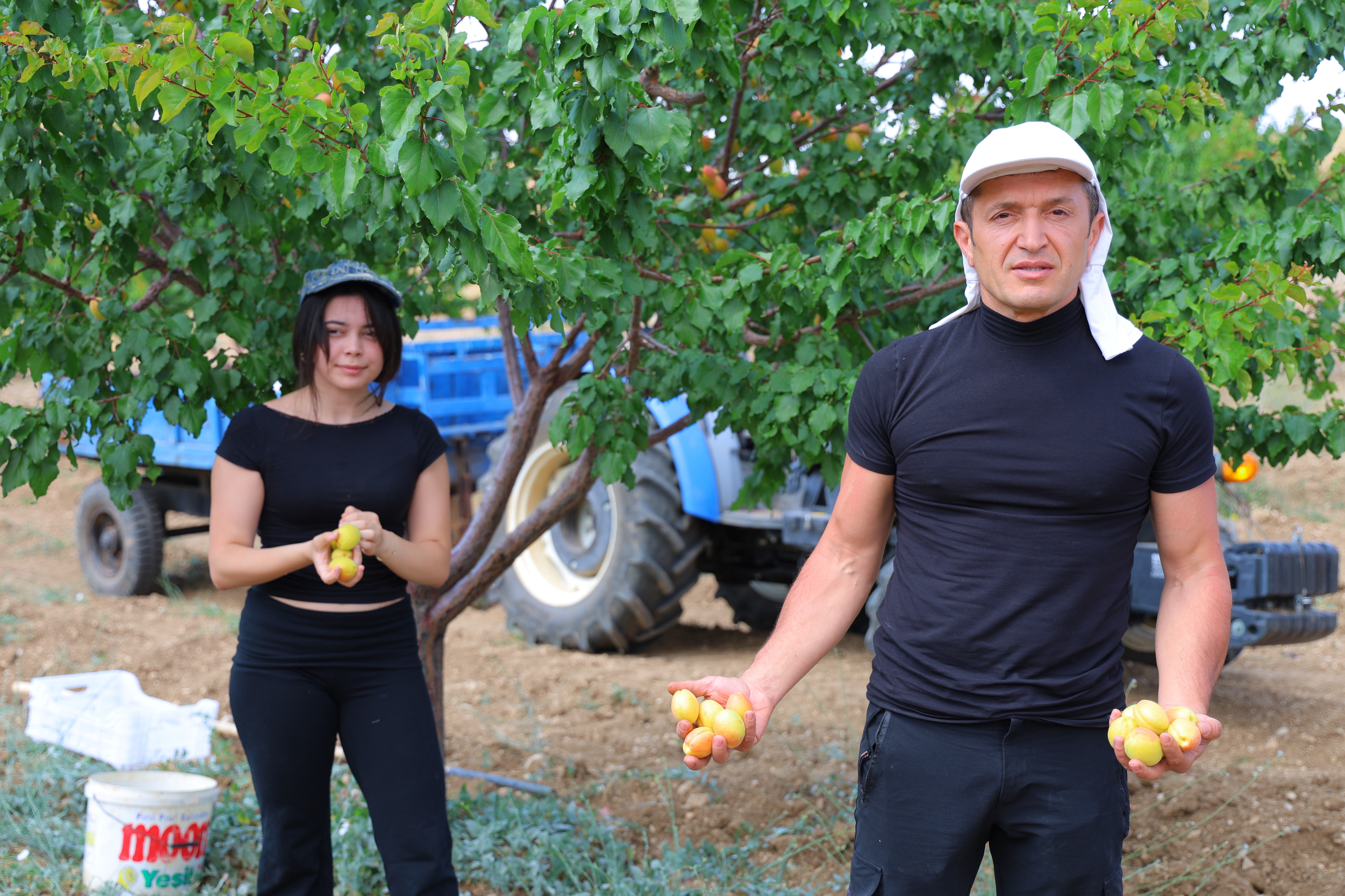 Proje Türkiye birincisi oldu. Susuz bölgede yetiştirdi, 4 ton verim aldı