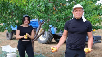 Proje Türkiye birincisi oldu. Susuz bölgede yetiştirdi, 4 ton verim aldı