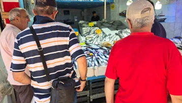 Yıllardır böylesi görülmedi, bolluk yaşandı. Karadeniz'den fışkırıyor