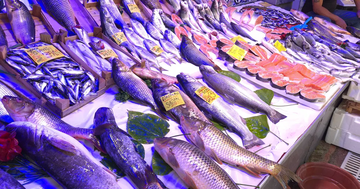 Müjdeyi verdi, bu yıl bolluk yaşanacak. Fiyatlar uygun olacak