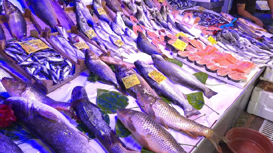 Müjdeyi verdi, bu yıl bolluk yaşanacak. Fiyatlar uygun olacak
