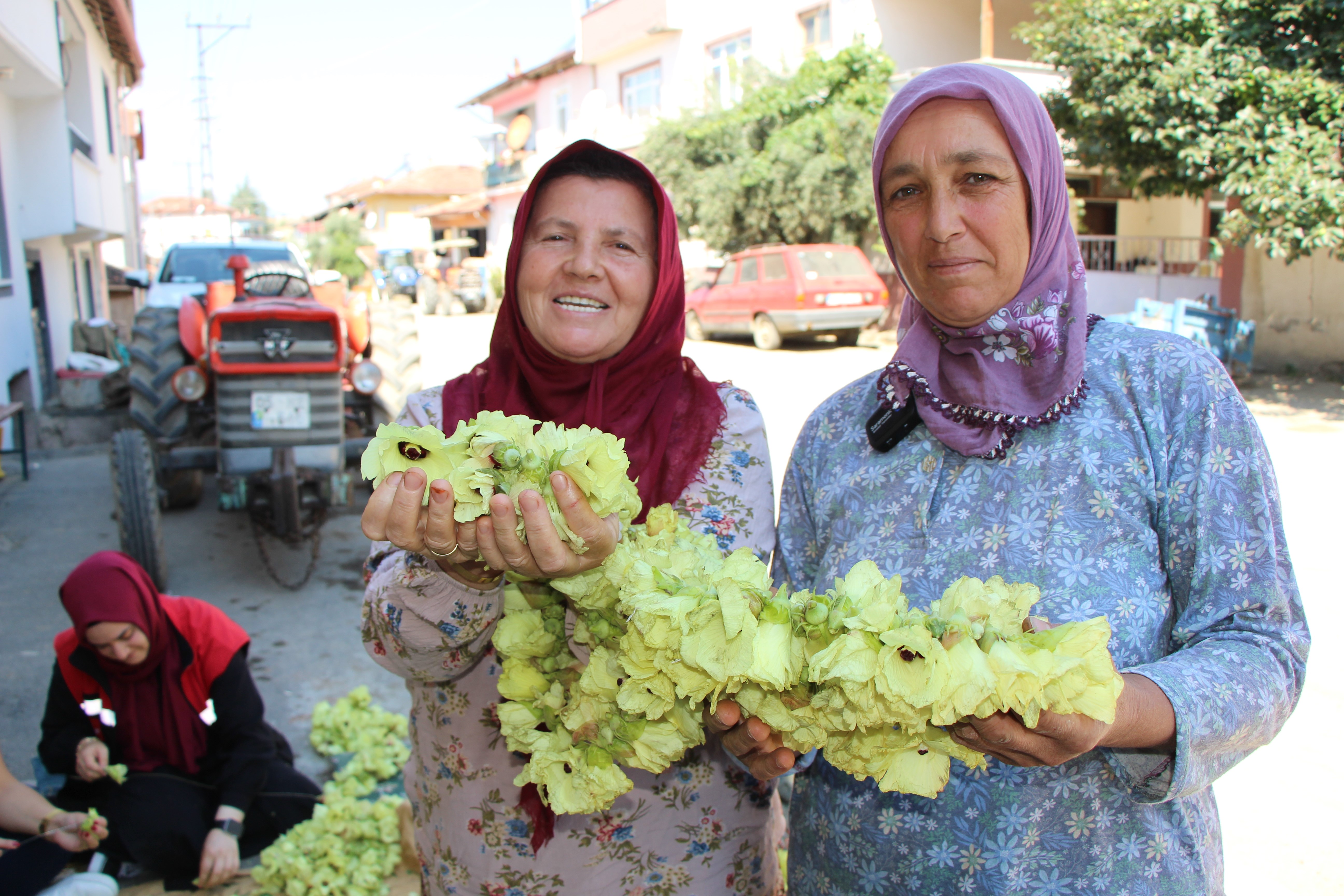 Altın değerinde, gece gündüz alıcısı var. "Hızır'ın cebinden düşmüş, topla topla bitmiyor"