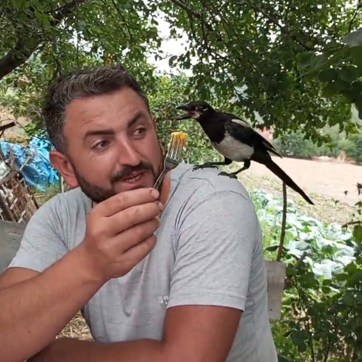 Yanından ayrılmayan saksağanın adını "Perişan" koydu