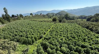 Adını Nebiyan Dağı'ndan alıyor