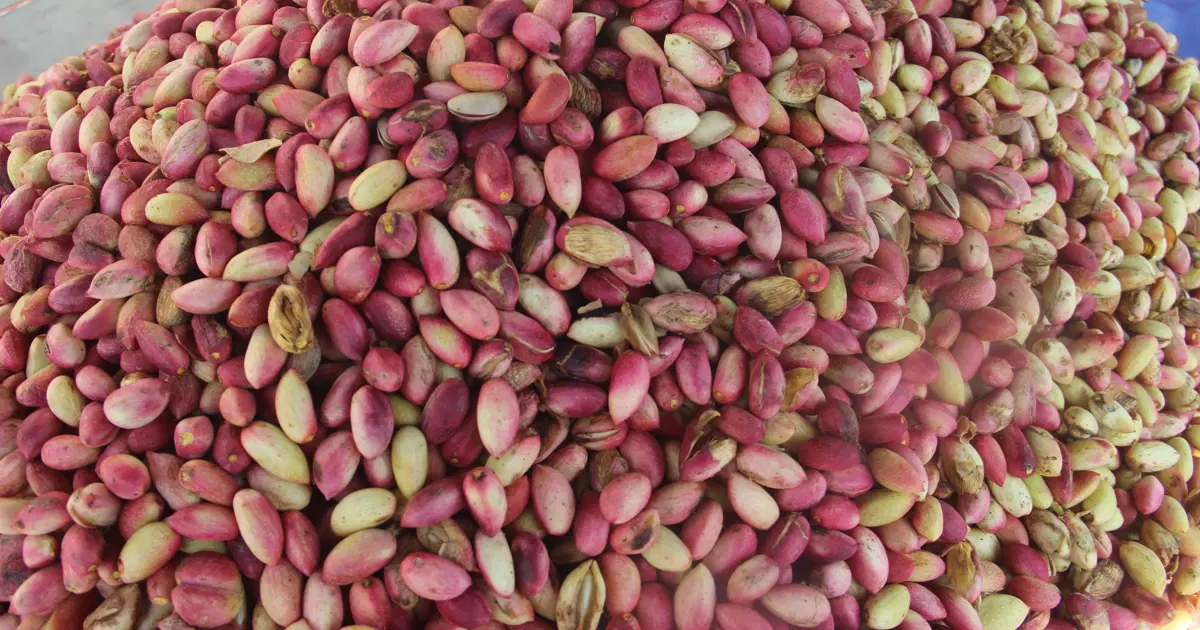 1 kilosu 700 lira. Tezgahta yerini aldı