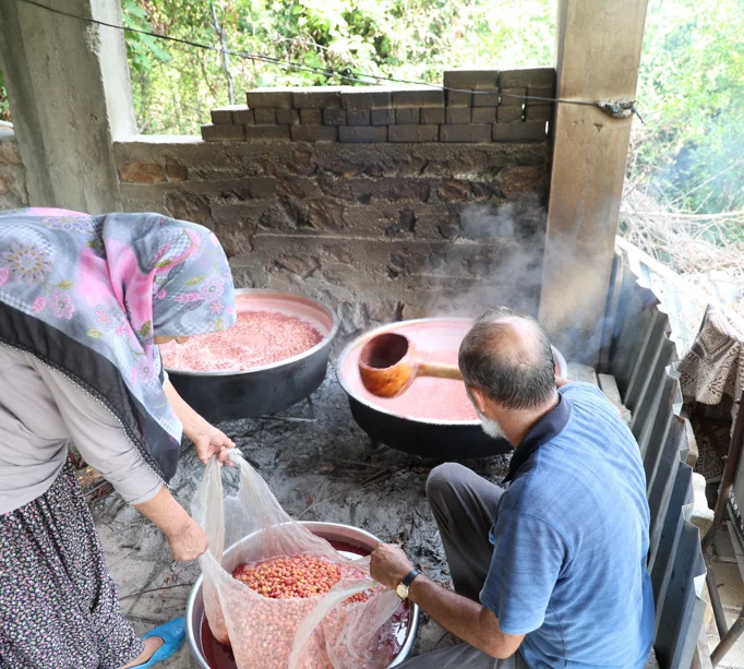 130 kilo kara kazanda vitamin hapına dönüşüyor. Çatlatma işleminden geçiriyorlarAdana'nın Kozan ilçesinde sağlık deposu olarak nitelendirilen kızılcık şerbeti yapımına geleneksel yöntemlerle başlandı.