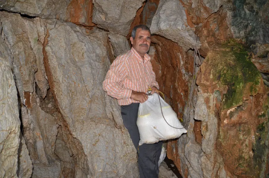 Karlı obruklarda 3 ay bekletiliyor, kıvama ulaşınca satılıyor 1
