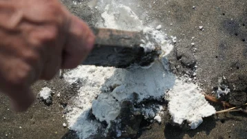 Samsun sahilinde gizemli toz alarmı: Numuneler TÜBİTAK'a gönderilecek