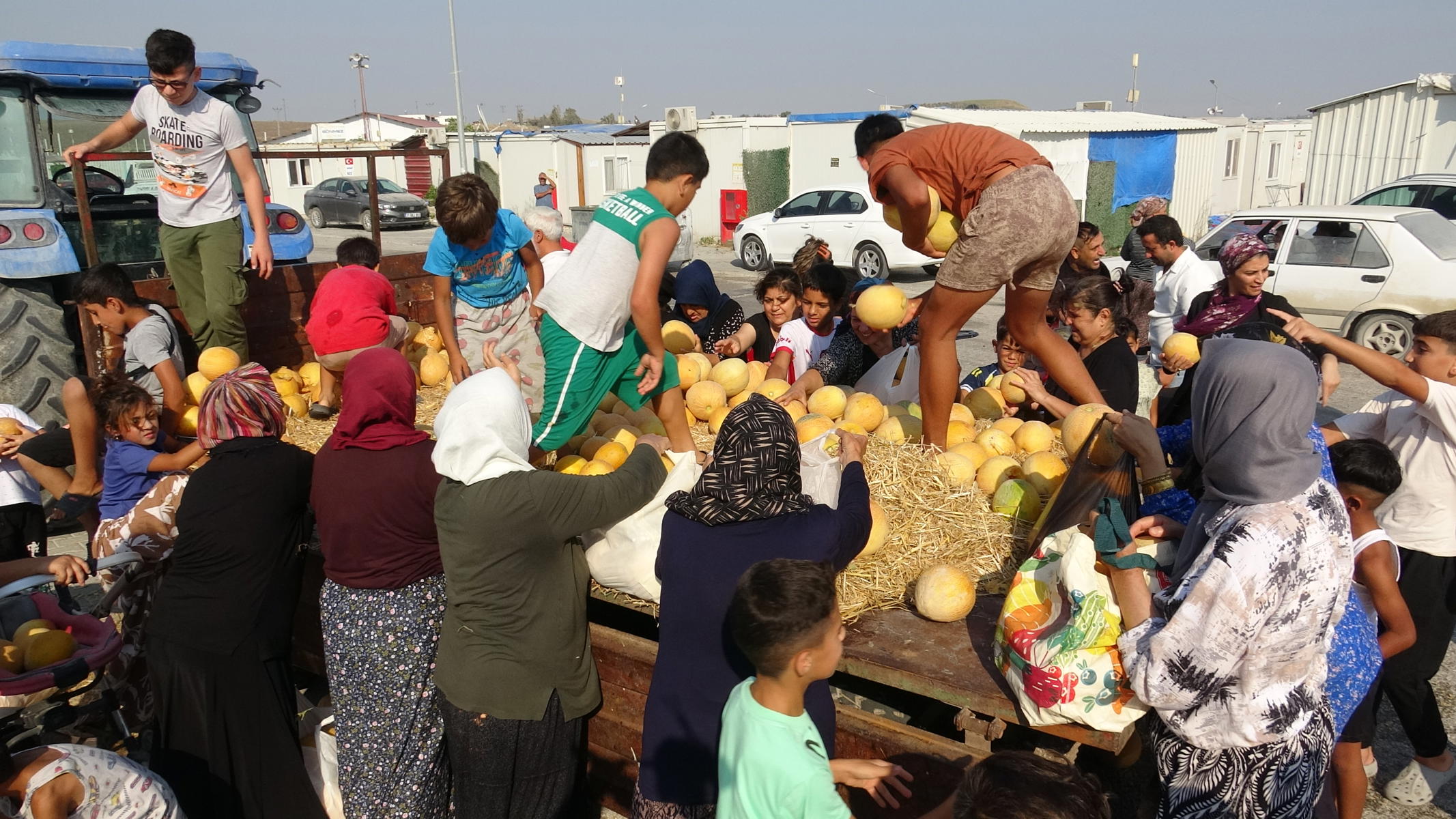 50 ton bedava dağıttı, 5 dakikada bitti. Tarlada tane fiyatı 5 TL