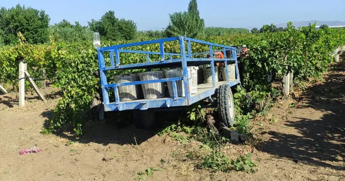 Traktörün altında kalan işçi hayatını kaybetti