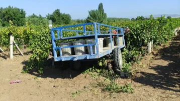 Traktörün altında kalan işçi hayatını kaybetti
