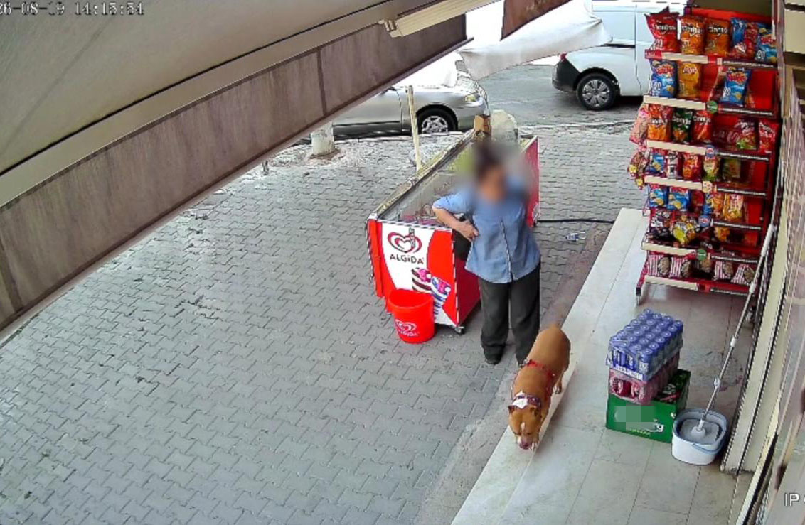 Pitbull saldırısında parmağı koptu, şiir yazdı